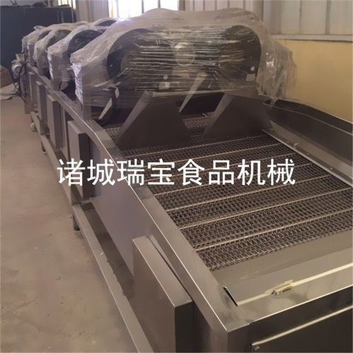 瑞寶食品機械 多圖 渦輪式風(fēng)干機生產(chǎn)商 上海渦輪式風(fēng)干機高清圖片 高清大圖